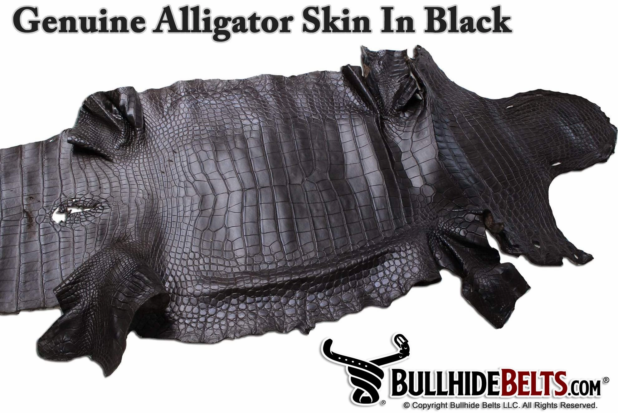Brown Alligator Money Clip Wallet With Credit Card Slots
