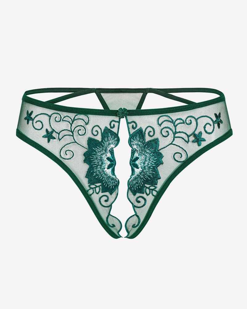 Floral Briefs Embroidered Thongs Panties