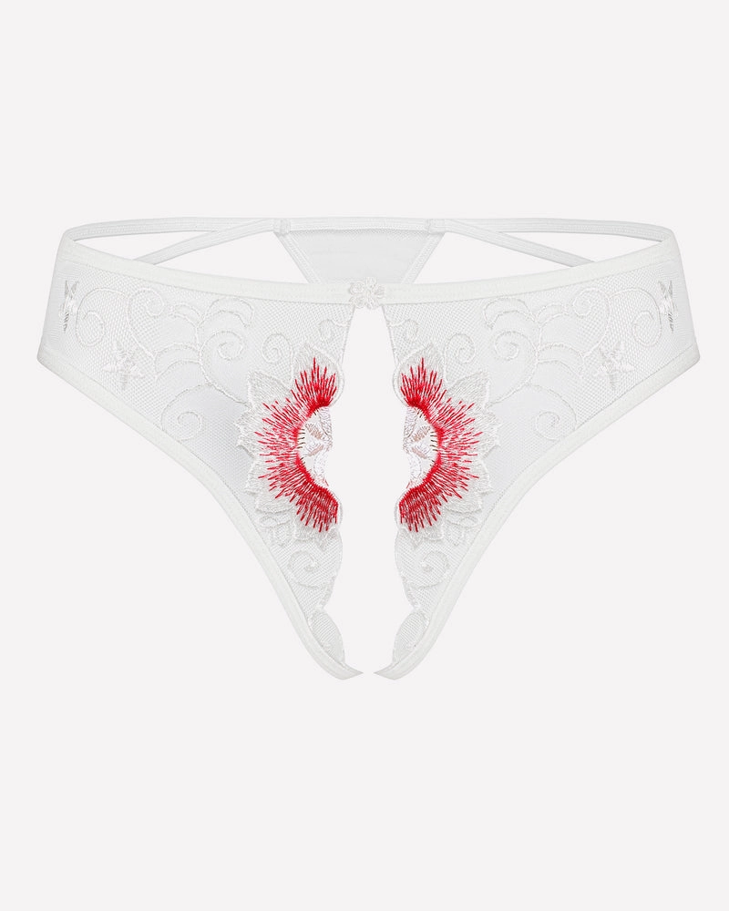 Floral Briefs Embroidered Thongs Panties