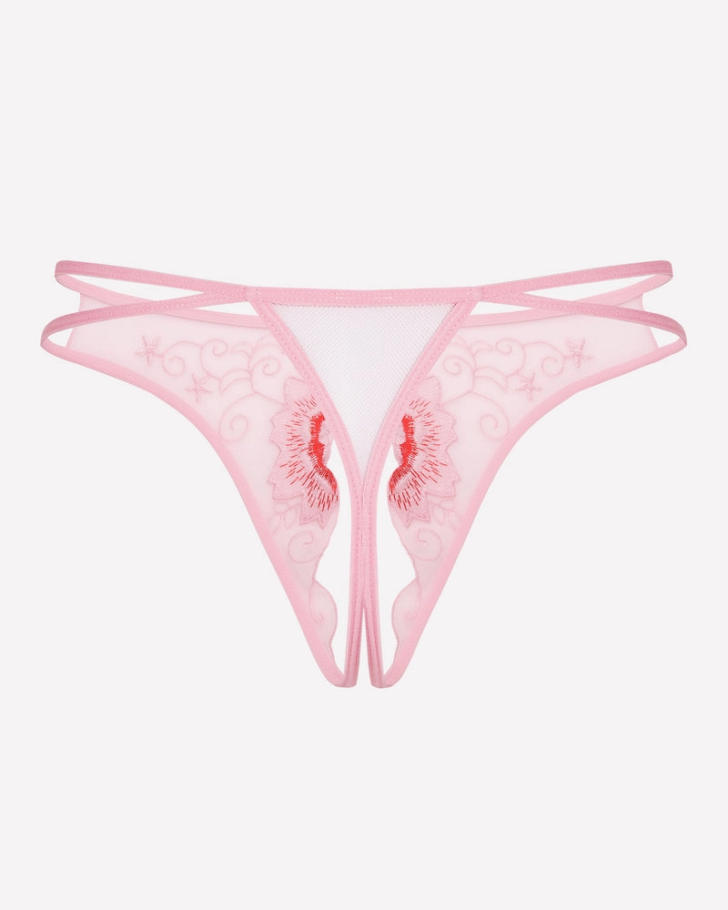 Floral Briefs Embroidered Thongs Panties