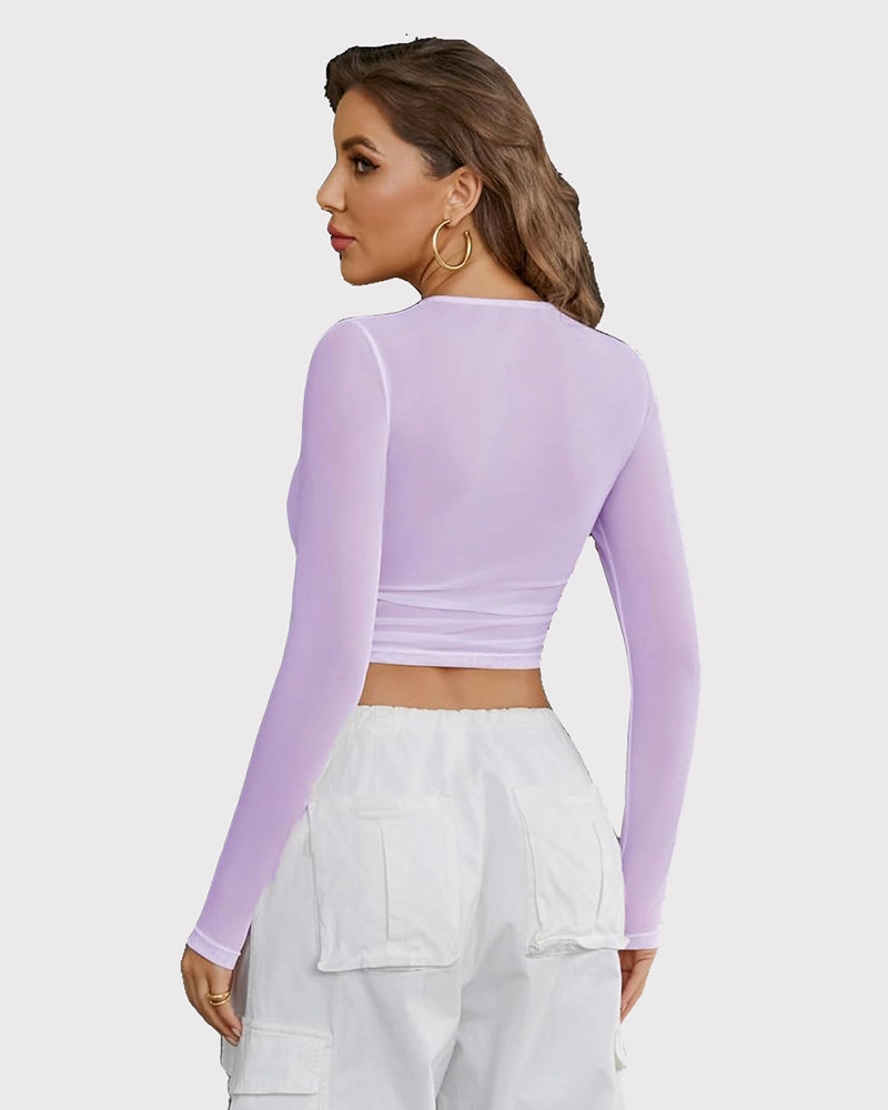 Sheer Mesh Long Sleeve Crop Top