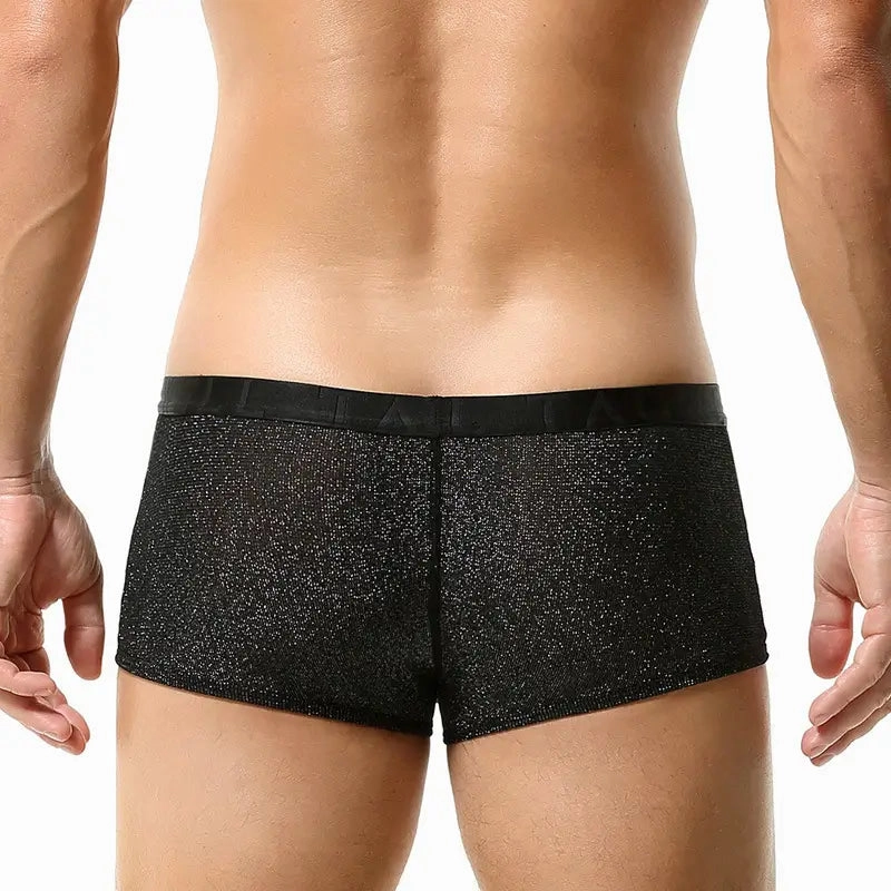 Tauwell Men's Low Rise Shiny Boxer Briefs - Breathable, Stretchable, and Skin-Friendly