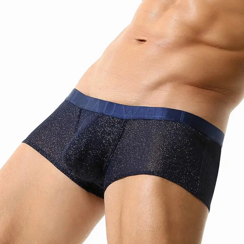 Tauwell Men's Low Rise Shiny Boxer Briefs - Breathable, Stretchable, and Skin-Friendly